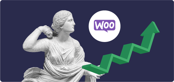  jakie efekty daje pozycjonowanie WooCommerce?