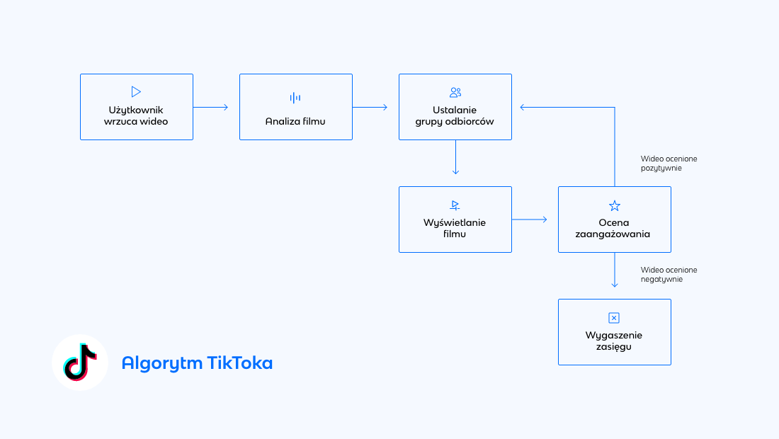Działanie algorytmu TikToka - infografika