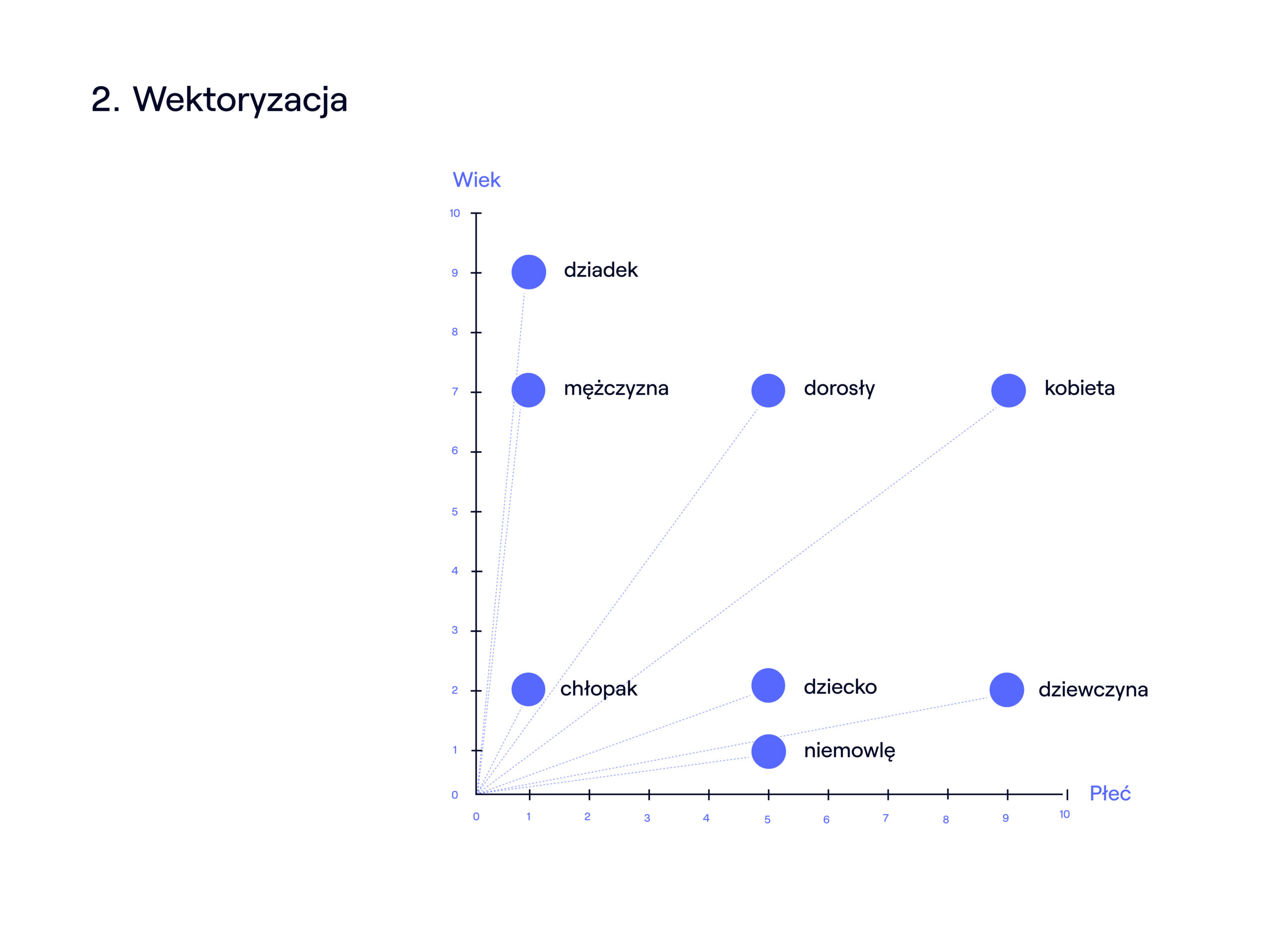 Infografika obrazująca jak może działać wektoryzacja tekstu/pojęć.