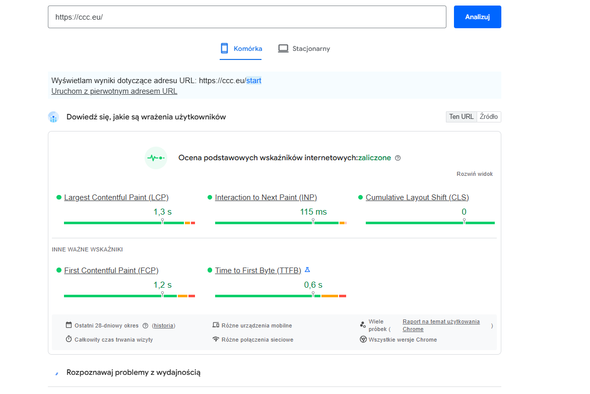 Przykładowa analiza strony w PageSpeed Insights
