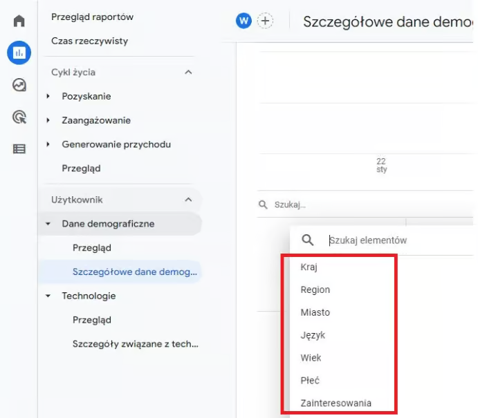 przegląd raportów Google Analytics