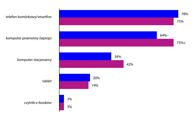 Raport dotyczący narzędzi wykorzystywanych do robienia e-zakupów w roku 2022