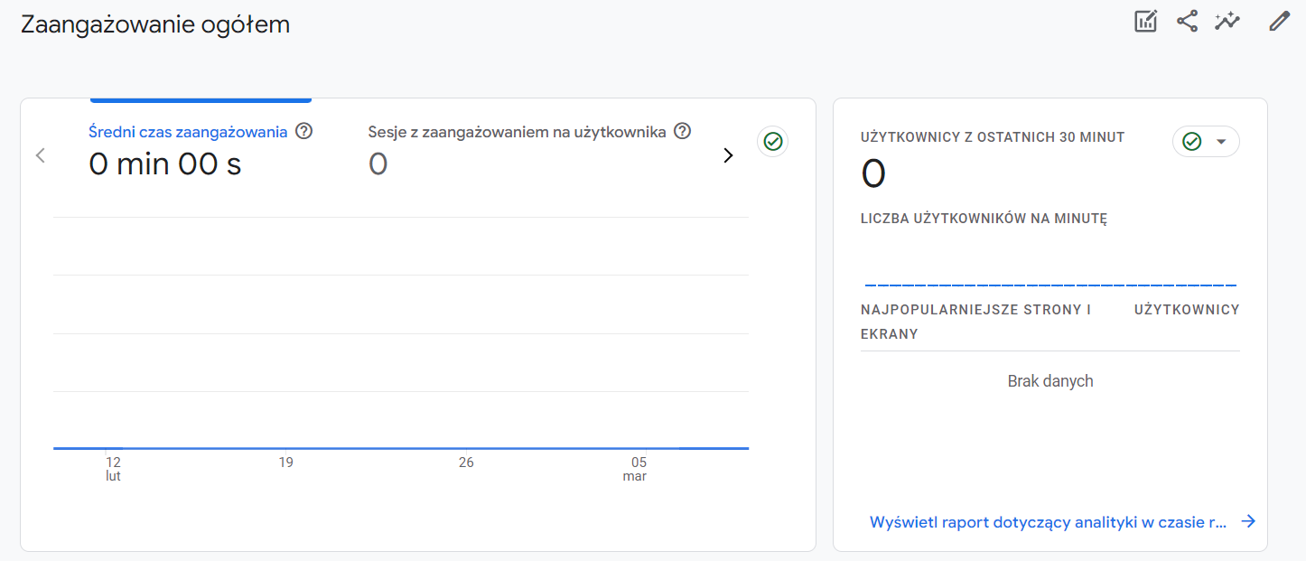   raporty w Google Analytics 