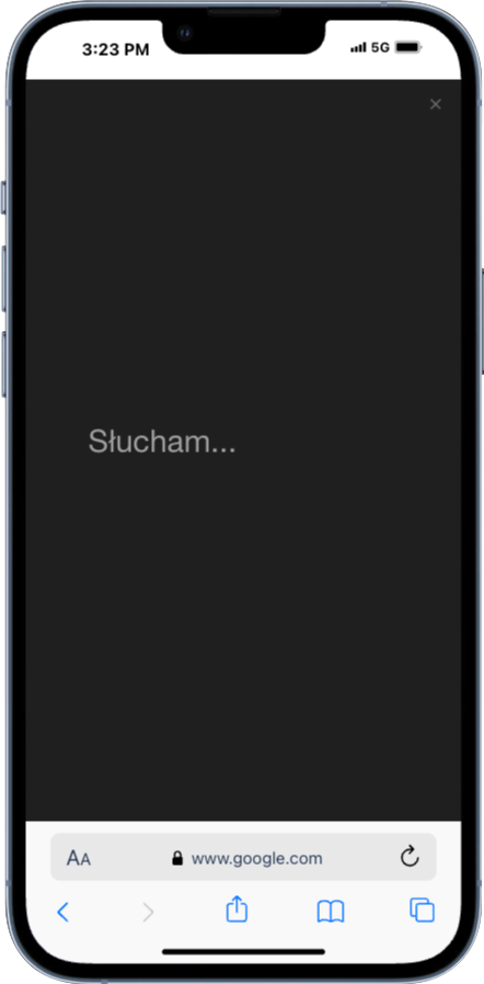 Wyszukiwanie głosowe